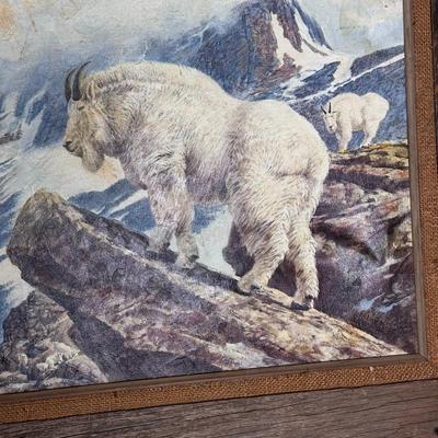 Framed Art - Giclee on canvas of mountain goat