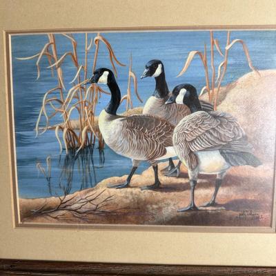 Framed Art: Judy Olson