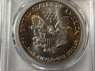 PCGS CERTIFIED 1993 MS69 NICELY TONED RIMS OBV. SILVER EAGLE DOLLAR AS PICTURED.