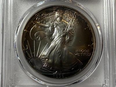 PCGS CERTIFIED 1993 MS69 NICELY TONED RIMS OBV. SILVER EAGLE DOLLAR AS PICTURED.