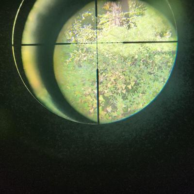 Benjamin Marauder BP2563 Air Rifle pellet with Center Point Scope