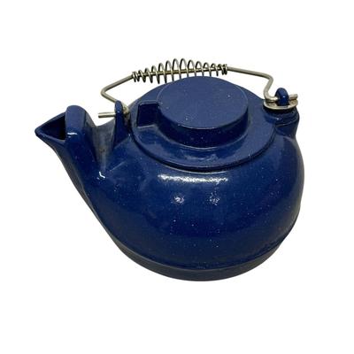 Sale Photo Thumbnail #431: Cast Iron Steamer Kettle with Blue Porcelain Enamel Finish - rust spots inside (see pic)