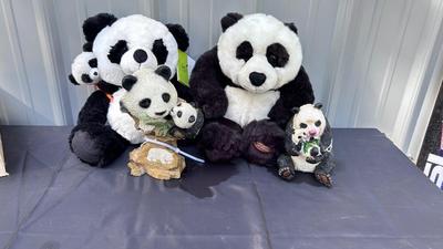 LOVABLE PANDA BEARS