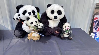 LOVABLE PANDA BEARS