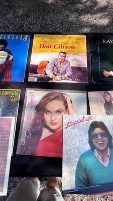 A VARIETY OF DIFFERENT MUSIC ON VINYL