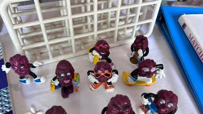 KNOWLEDGEABLE BOOKS ON DIFFERENT TOYS, CALIFORNIA RAISINS AND MORE!