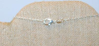 Carousel Style PENDANT/CHARM (¾" x ¼") on a Silver Marked .925 Necklace Chain 18" L