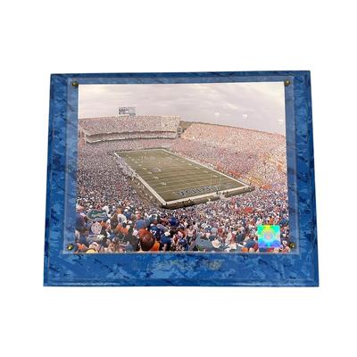 Sale Photo Thumbnail #758: Florida Gators Framed Official 2008 Stadium Game Plaque
"officially licensed collegiate product" 
Photo File 2008 
Missing title shield on bottom- you can see where glue residue was left.