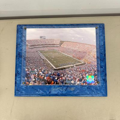 Sale Photo Thumbnail #765: Florida Gators Framed Official 2008 Stadium Game Plaque
"officially licensed collegiate product" 
Photo File 2008 
Missing title shield on bottom- you can see where glue residue was left.