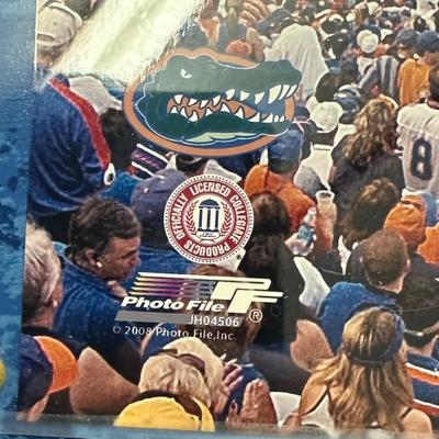 Sale Photo Thumbnail #763: Florida Gators Framed Official 2008 Stadium Game Plaque
"officially licensed collegiate product" 
Photo File 2008 
Missing title shield on bottom- you can see where glue residue was left.