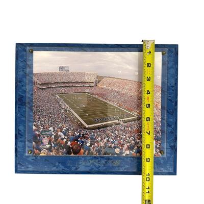 Sale Photo Thumbnail #760: Florida Gators Framed Official 2008 Stadium Game Plaque
"officially licensed collegiate product" 
Photo File 2008 
Missing title shield on bottom- you can see where glue residue was left.