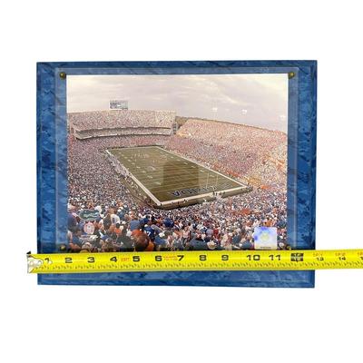 Sale Photo Thumbnail #759: Florida Gators Framed Official 2008 Stadium Game Plaque
"officially licensed collegiate product" 
Photo File 2008 
Missing title shield on bottom- you can see where glue residue was left.