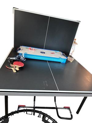 Furniture - Ping Pong Table with Air Hockey and Yoa Ming Figure