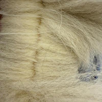 James Bay Pure Wool Coat With Hood (PC-MG)