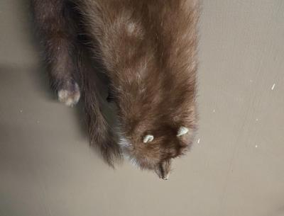 Sale Photo Thumbnail #448