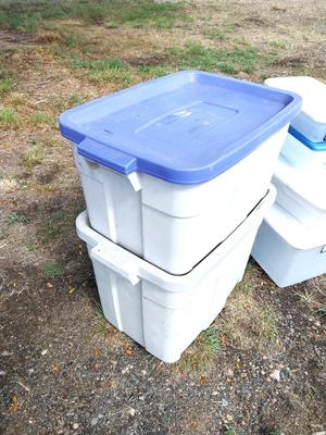VARIETY SIZED STORAGE TOTES