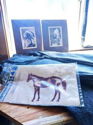 CHIEF PRINTS-HORSE DECAL AND WARMERS FOR HORSE LEGS
