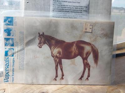 CHIEF PRINTS-HORSE DECAL AND WARMERS FOR HORSE LEGS