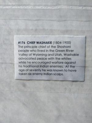 CHIEF PRINTS-HORSE DECAL AND WARMERS FOR HORSE LEGS
