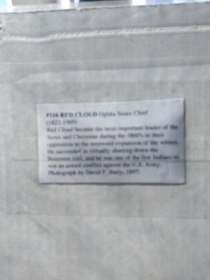 CHIEF PRINTS-HORSE DECAL AND WARMERS FOR HORSE LEGS
