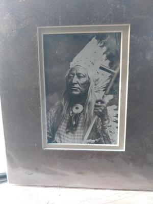 CHIEF PRINTS-HORSE DECAL AND WARMERS FOR HORSE LEGS