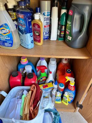 Garage - Cleaning Supplies & Shelf