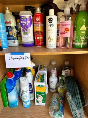 Garage - Cleaning Supplies & Shelf