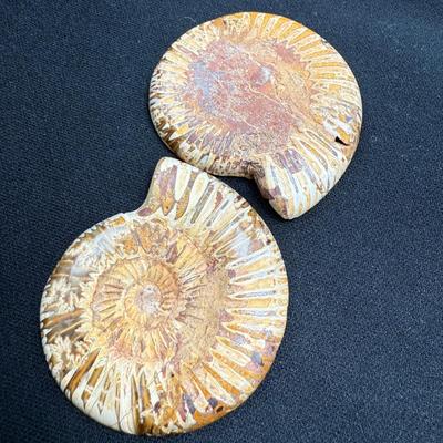 Collection of Agates and Ammonites (B1-BM)