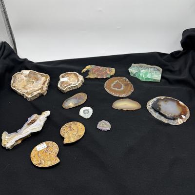 Collection of Agates and Ammonites (B1-BM)