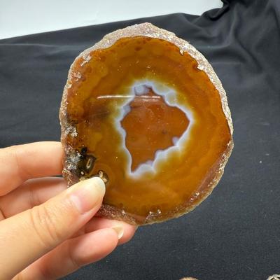 Collection of Agates and Ammonites (B1-BM)