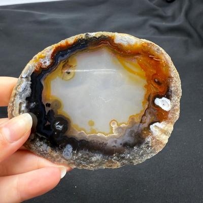 Collection of Agates and Ammonites (B1-BM)