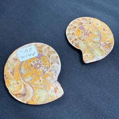 Collection of Agates and Ammonites (B1-BM)