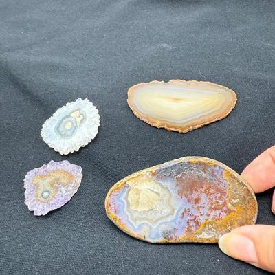 Collection of Agates and Ammonites (B1-BM)