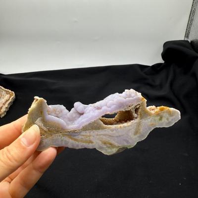 Collection of Agates and Ammonites (B1-BM)