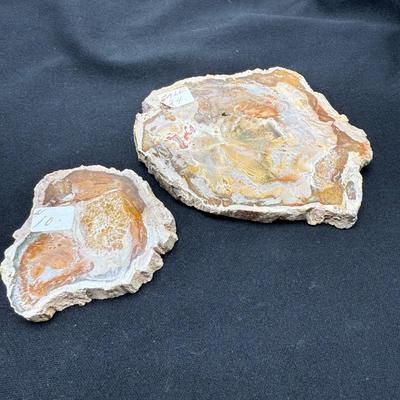 Collection of Agates and Ammonites (B1-BM)