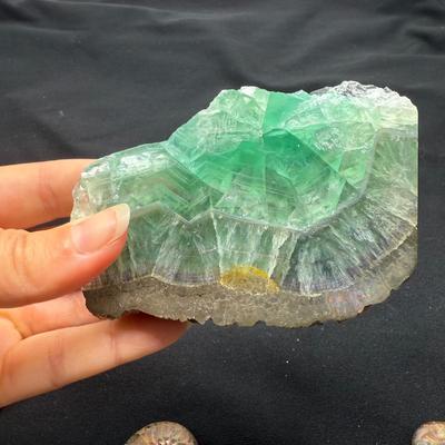 Collection of Agates and Ammonites (B1-BM)