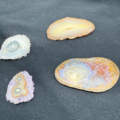 Collection of Agates and Ammonites (B1-BM)