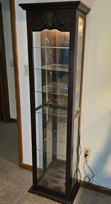 Five Glass Shelf Lighted Curio Cabinet by Pulaski Furniture (GB-JS)