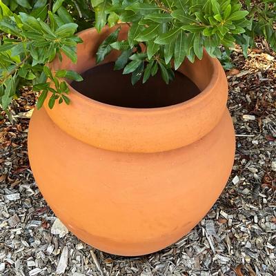 Sale Photo Thumbnail #239: Measures: 22" high x 20" diameter