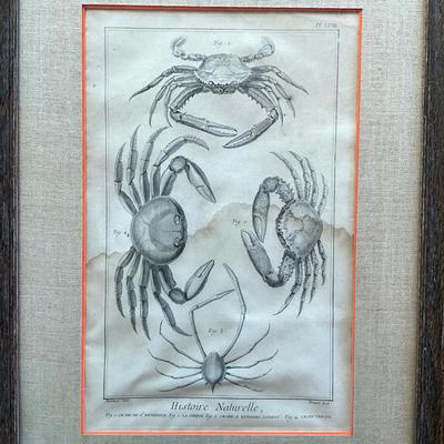 Sale Photo Thumbnail #409: Linen matting. Bottom half of print has moisture damage.
Measures: 15.5" wide x 20.75" high