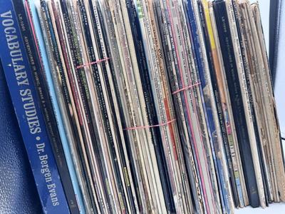 Large Vinyl Lot