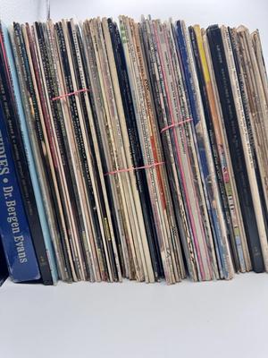Large Vinyl Lot
