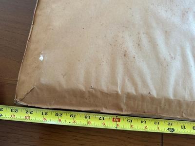 Alexander John Drysdale Louisiana Swamp Landscape Painting