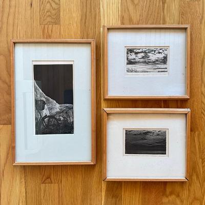Sale Photo Thumbnail #426: One is "Bay 2nd State" 1 out of 9, 1971
One is "Bay 1st State" 2 out of 7, 1971
Small measures: 9.5" wide x 8.5" high
Large measures: 9.5" wide x 14" high