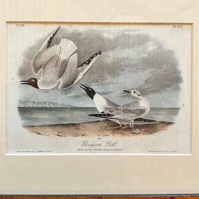 Sale Photo Thumbnail #471: Comes with excerpt from a book
Comes with certificate of authenticity
Measures: 14" wide x 11" high- framed.