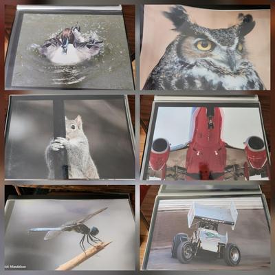 Profolio of Photographs 12x18 Suitable for Framing at least 40 in Binder