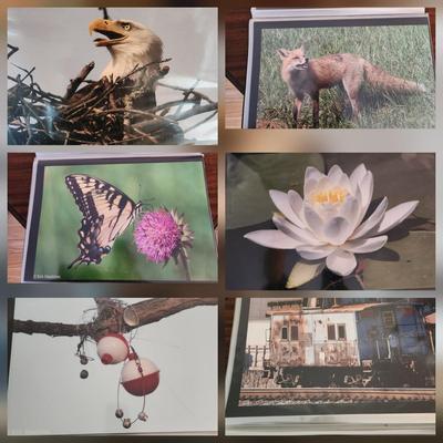 Profolio of Photographs 12x18 Suitable for Framing at least 40 in Binder