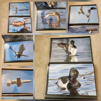 Profolio of Photographs 12x18 Suitable for Framing at least 40 in Binder
