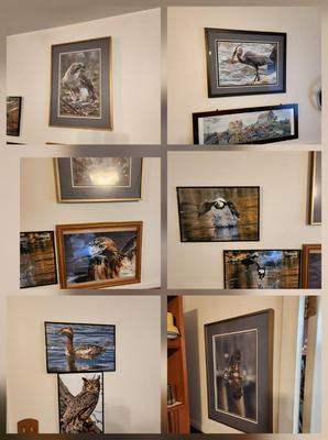 Lot of 10 Framed Photographs Wildlife Eagles , Owls , Cars