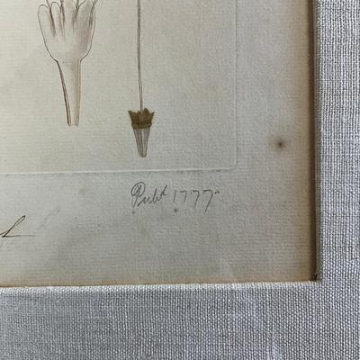 Sale Photo Thumbnail #953: Hand-colored
Has linen matting
Measures: 21.5" wide x 27.5" high
John Miller- Great Britain